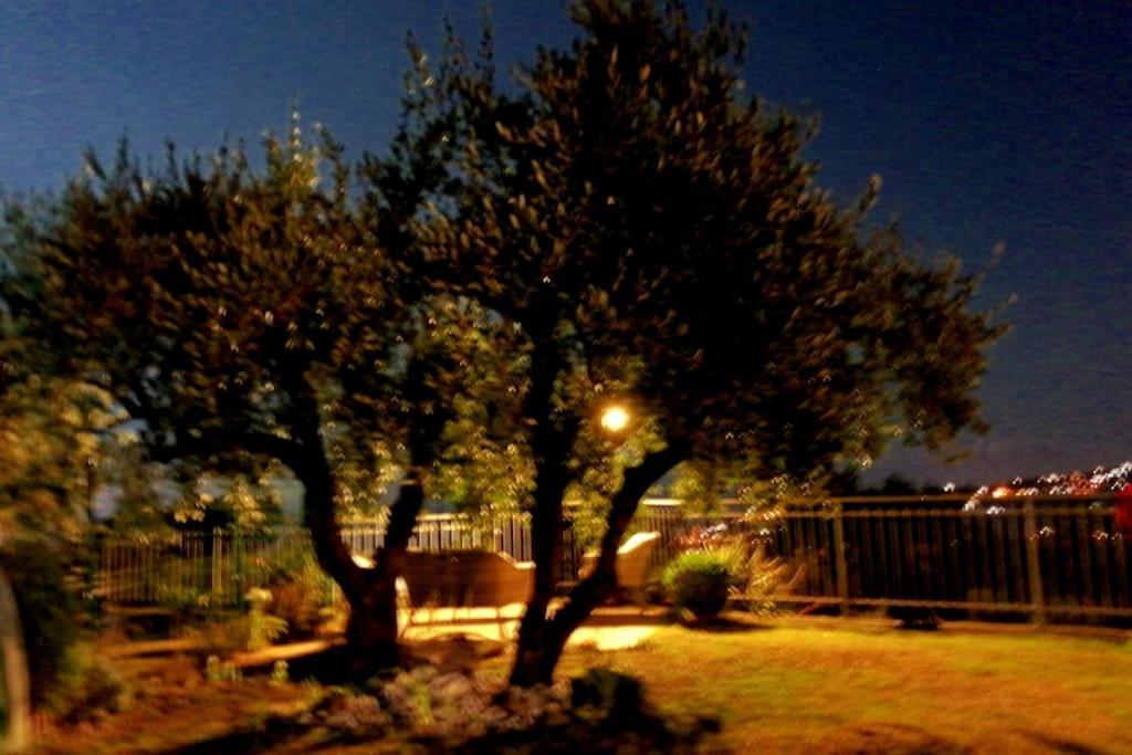 Villa Casa Vista Mare Imperia Exterior foto